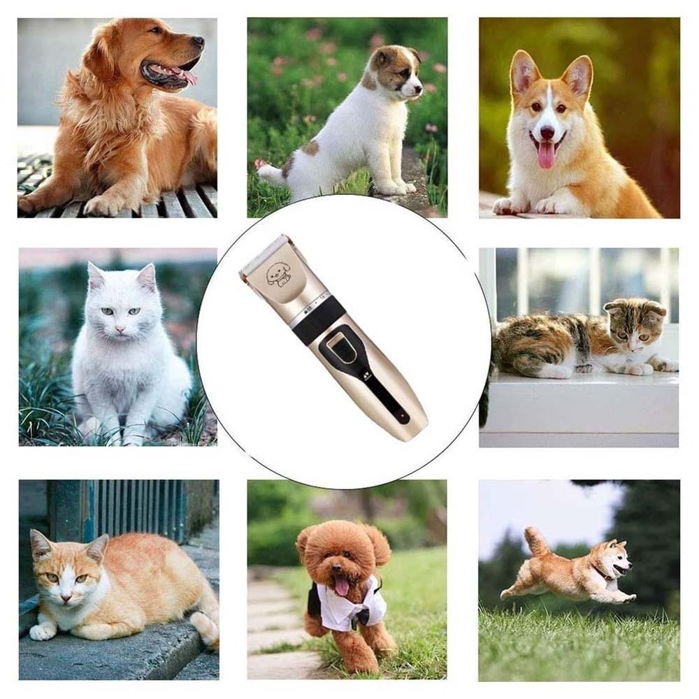 Professional Pet Electrical Grooming Trimmer Cordless Pet Shaver Full Set  Grooming
