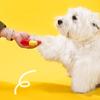 Squeaky Stuffed Dog Toy Soft Plush Pet Chew Toy Interactive Crinkle Puppy Teething Toy for Small Medium Dogs Cats