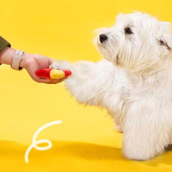 Squeaky Stuffed Dog Toy Soft Plush Pet Chew Toy Interactive Crinkle Puppy Teething Toy for Small Medium Dogs Cats