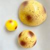 Stress Relief Toy Realistic Mashed Potato Skin Soft Filled Fidget Toy Slow Recovery Dough