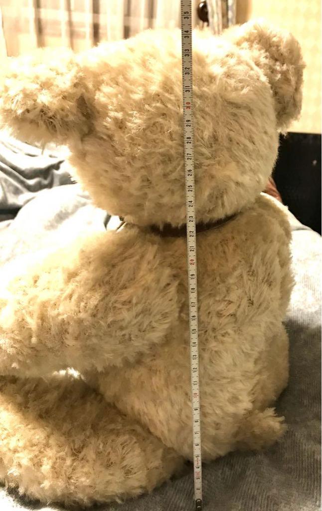 [USED] Limited Edition Brentton Teddy Bear