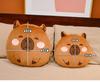 Dual-Use Capybara Hugging Pillow & Blanket - Office Nap, Car AC, or Lunch Break Backrest