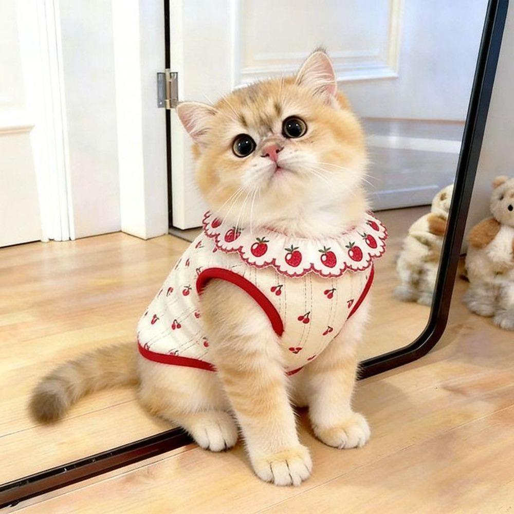Thin Cat Flower Edge Vest Cherry Pattern Pet Shirt Cute Cat Pullover  Pet Clothing
