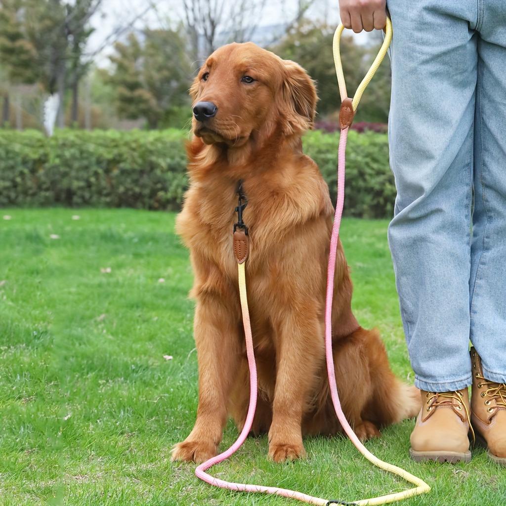 1pc Colorful Gradient Dog Leash, Multifunctional Dog Round Rope Dog Slip Leash Hands-free Crossbody Dog Walking Leash
