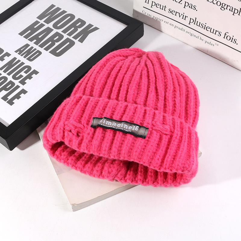 Korean Style All match Knitted Hat Warm Ear Protection Pullover Hat for Women Autumn and Winter Personalized Cold Hat Thickened Plush Hat Small Face