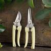 Strong Stainless Steel Pruning Shears, Specially Designed for Pruning Thick Branches and Fruit Picking In Orchards