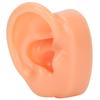 Silikon rechtes Ohr Modell Simulation künstliches Ohr Ausstellungsmodell für Hörgeräte