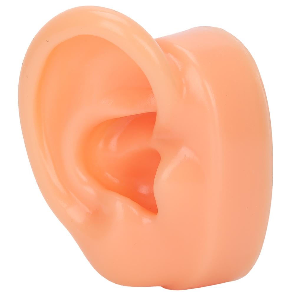 Silicone Right Ear Model Simulation Artificial Ear Display Model for Hearing Aids