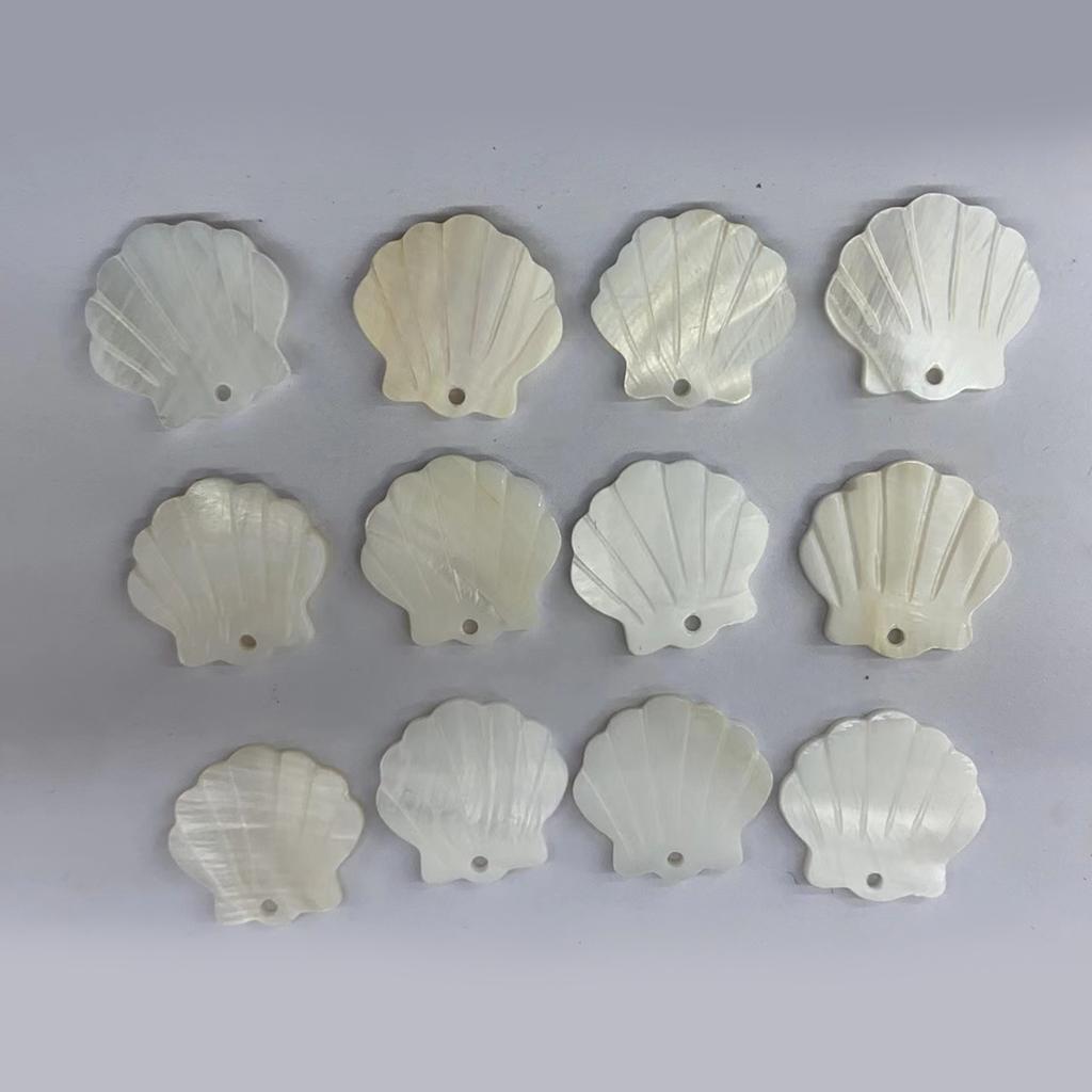 Packung mit 10 polierten 20*21mm Süßwasser-Perlmutt-Jakobsmuschel-Scheiben Perlmutt-Weiße Muschel-Perlen Für Strand Sommer Handgemachte Bastelmaterialien Großhandel