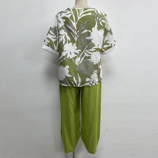 2 Stück/Set Bluse Hose Rundhals Halbarm Knopf Elastische Taille Lässig Täglich