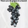 Grapes Simulation Fruit Plastic  Toy Vine Prop Photography Decoration Tools