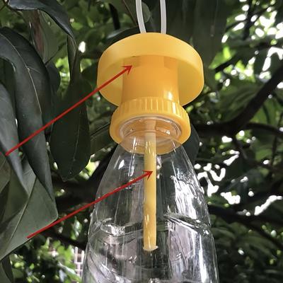 Fruchtfliegen-Lockstoff Insektenfalle, Geeignet zum Schutz von Obstgarten-Gemüse und Süßkartoffel-Fruchtfliegenfalle Mottenvogel