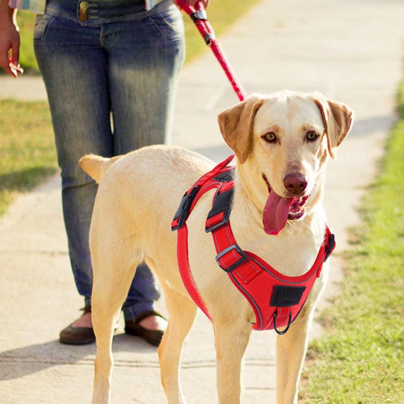 Multi D-ring Reflective Velcro Dog Harness