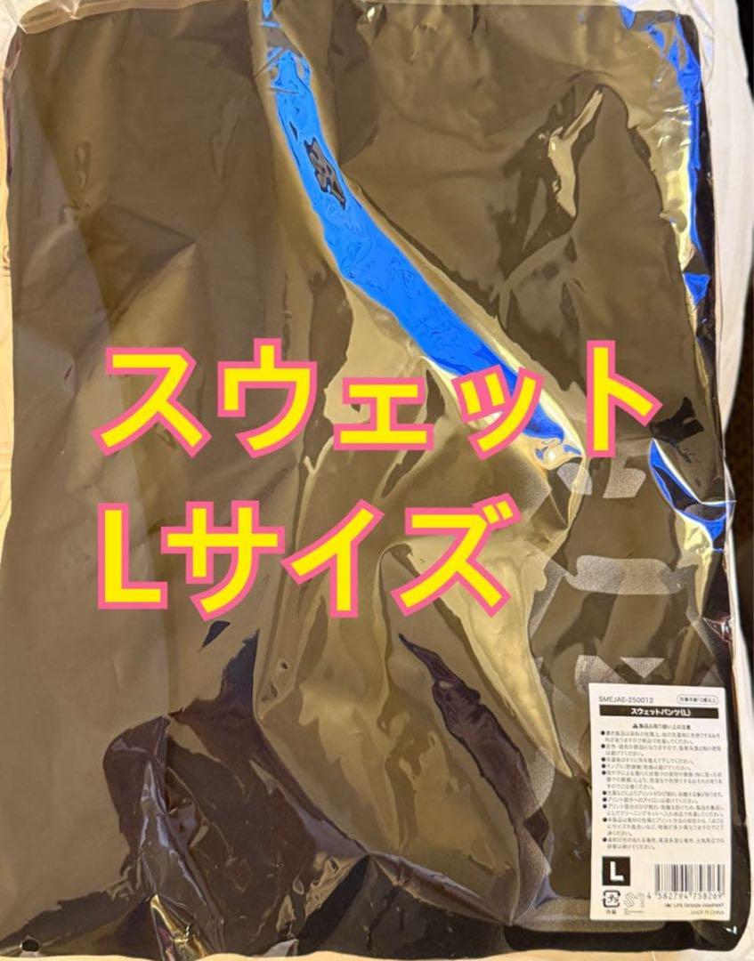 

[Б/У] Спортивные штаны из мерча тура aespa aeXIS LINE, размер L