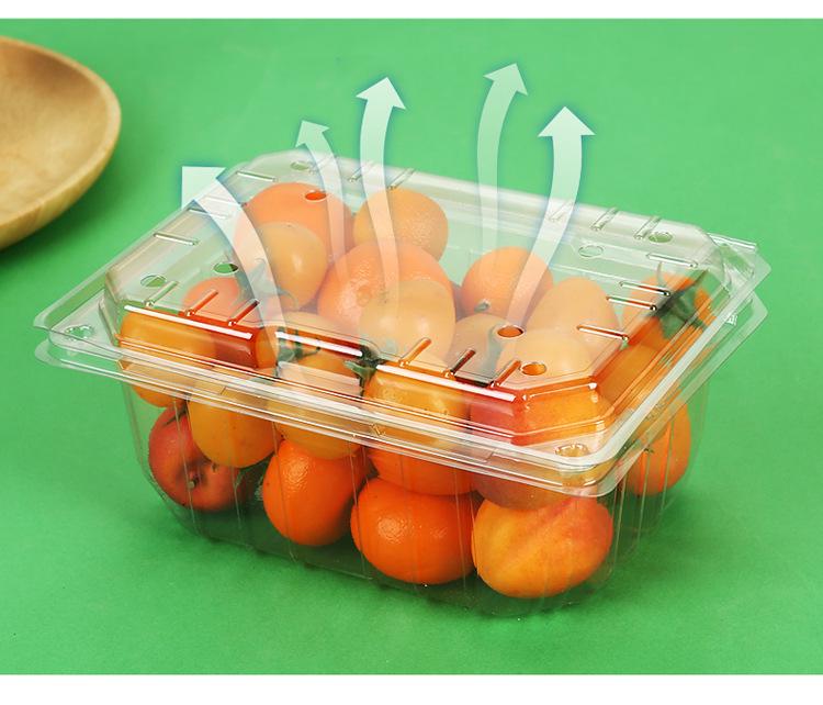 Clear Plastic Fruit & Veggie Box with Lid - Disposable and Thickened for Fresh Storage