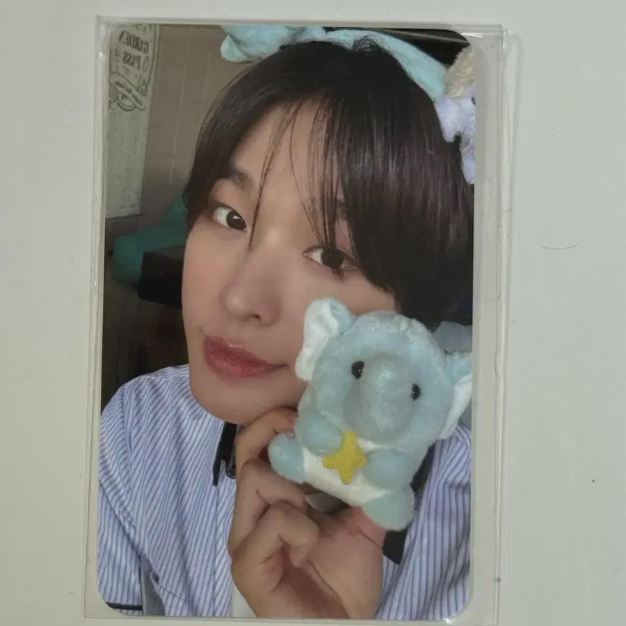 

Admission To Everland Foca Riku Ncitiwish Photo Pass Everwish