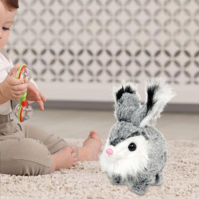 Elektronik Oyuncaklar – Elektronik hayvanlar