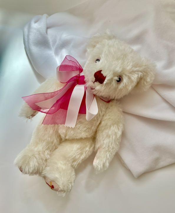 [USED] Merrythought Teddy Bear 2001 Century Bear