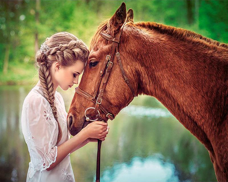 

5D алмазная живопись Подсолнух Коричневая Лошадь и девушка полная квадратная круглая алмазная вышивка животное мозаика ремесленный комплект домашний декор Full Round 40X50CM золотой