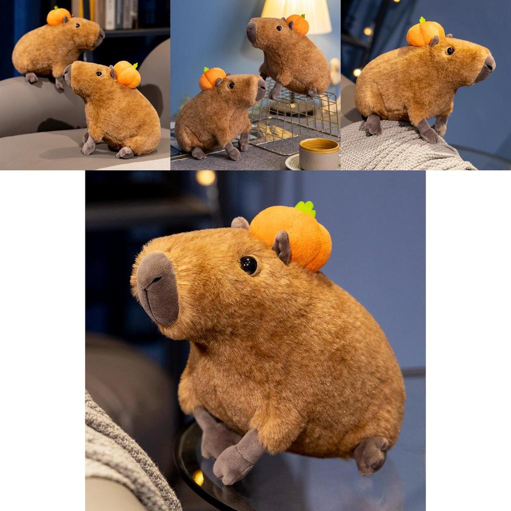 Realistisches Capybara Plüschtier Weiches Kuscheltier 30cm Lebensecht Heimdekoration Geschenk für Erwachsene Kinder