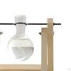 Terrarium Transparent with Wooden Stand Glass Vase Holder Creative Flower Pot for Coffee Shop Room