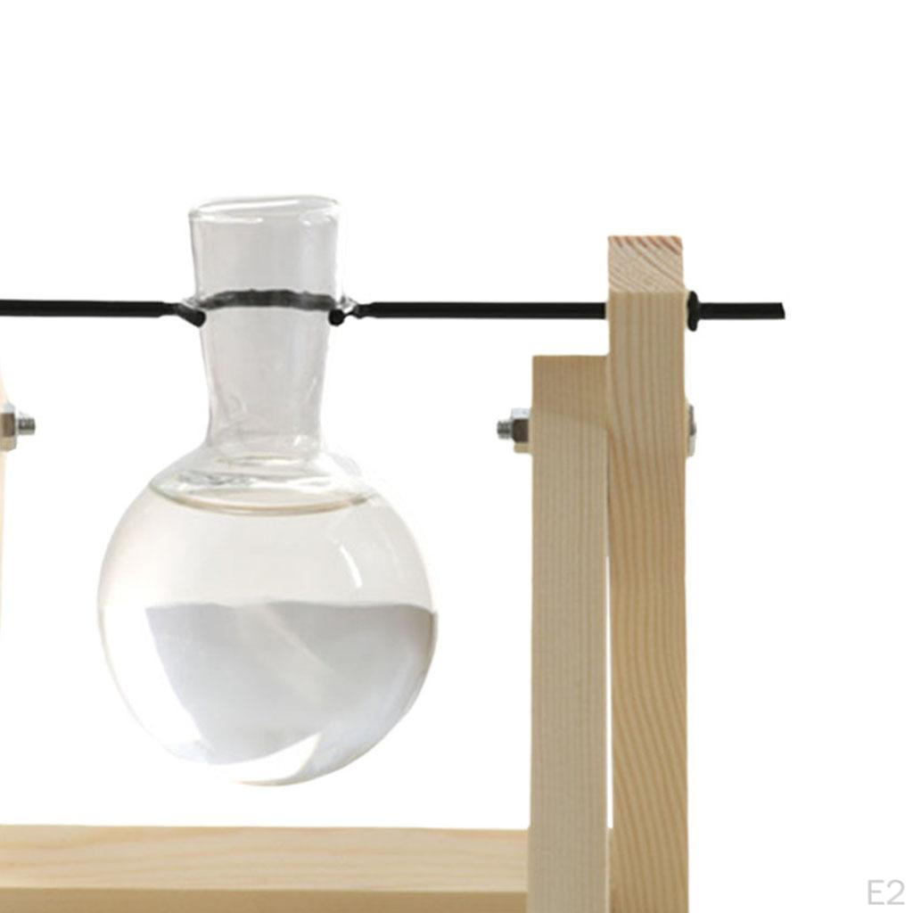 Terrarium Transparent with Wooden Stand Glass Vase Holder Creative Flower Pot for Coffee Shop Room