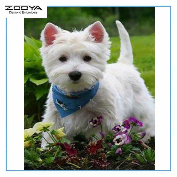 

ZOOYA DIY 5D Полный дрель Алмазная картина Животное Собака Вышивка Крестом Мозаика Картина Домашний декор