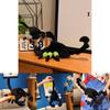 Plush Scorpion Toy Keychain With Realistic Design For Collectors And Gifts