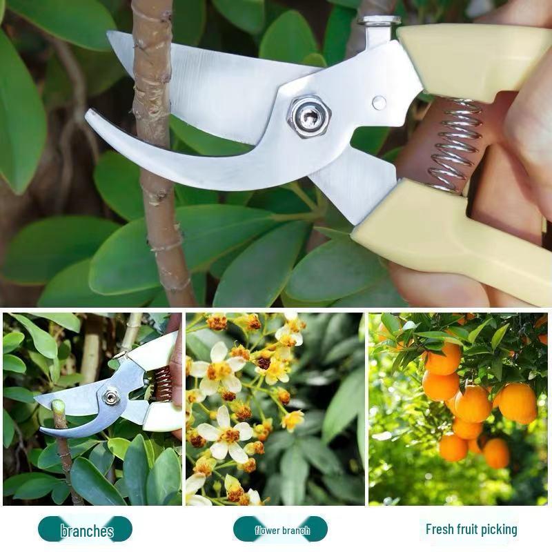Multi-Functional Stainless Steel Pruning Shears: Orchard & Garden Tool for Tree Branches and Fruits.