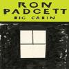 Big Cabin by Ron Padgett Paperback Book 9781566895491