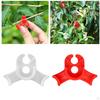 10 Pcs for Training Avoid s Crowding Low Stress Trainer Garden Fixing Clips