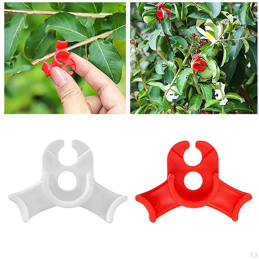 10 Pcs for Training Avoid s Crowding Low Stress Trainer Garden Fixing Clips
