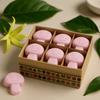 Ylang Ylang Wax Melts Box