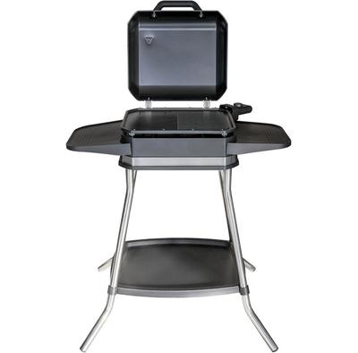 Grillowanie – Grille