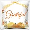 Pumpkin Halloween Thanksgiving Printing Series Pattern Pillowcase Square Pillowcase Home Office Decoration Pillowcase