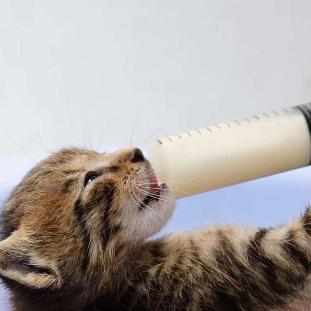 Plastic Big Syringe Large Capacity Feeding Ink Pump Measuring Reusable 150ml-500ml Hose Syringe