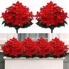 6pack, 5-Fork Artificial Honeysuckle Flowers - Perfect for Christmas & Holiday Decor, Indoor Green Plant Accents