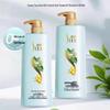 Sulei Green Tea Seed Oil Control Anti-Dandruff Shampoo