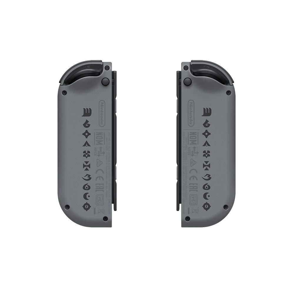 Nintendo Switch Monster Hunter Rise Special Edition