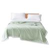 Mengjie Antibacterial All-Season Quilt