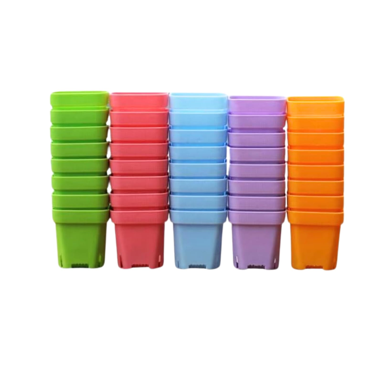 

BeGrit Рассада 60 Растений 5 Рассада Суккулентов Рассада Цветов Рассадные Кассеты для Молодого Бонсай для Домашнего Садоводства Ш x Д x В Горшки, Штуки, Поддоны,