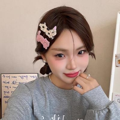 Haar-Accessoires – Haarklammern