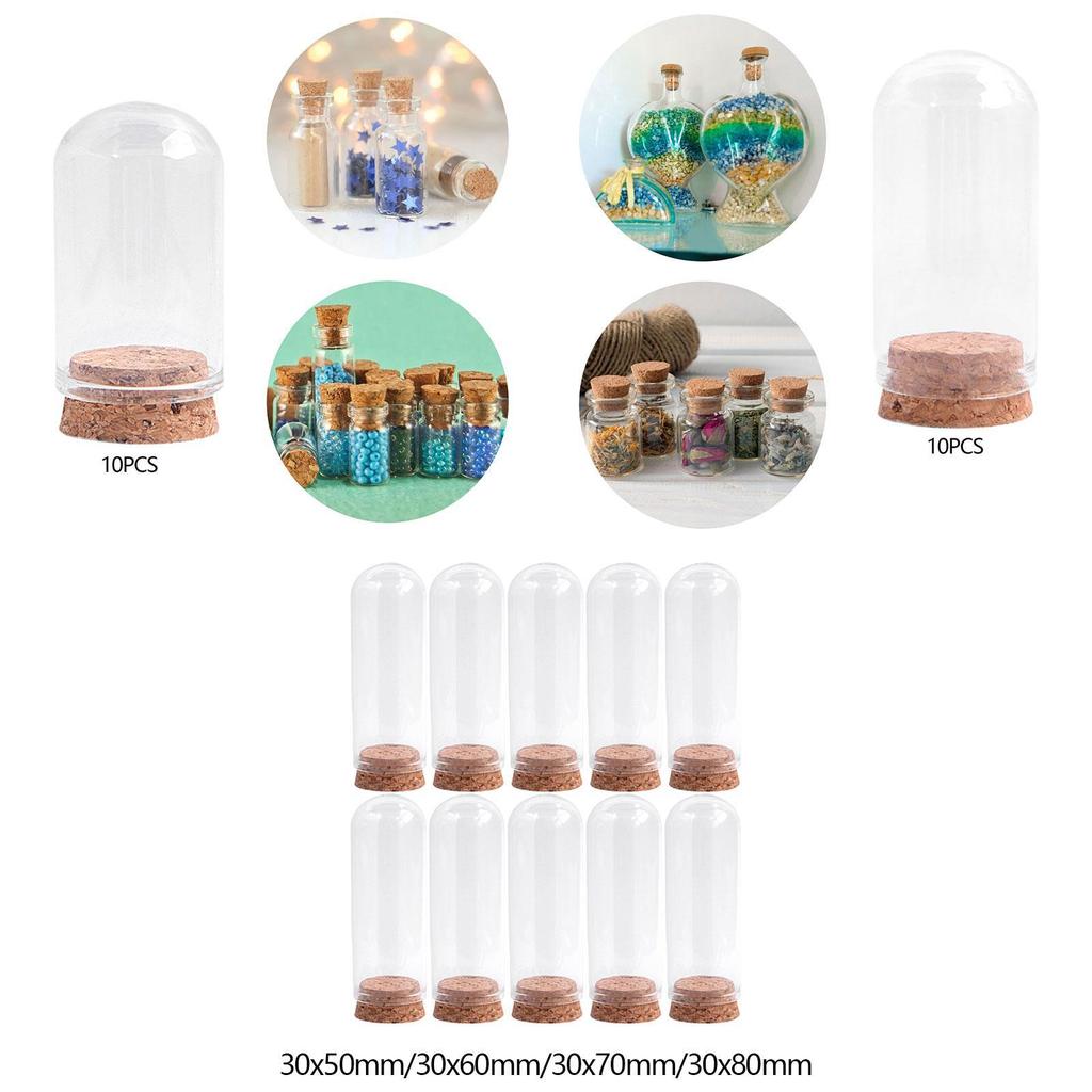 10x Glass Display Domes Cloche Bell Jars Versatile Decorative Jars for