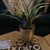 Potted Wooden Mini Insert Plaque Family Patio Home Planter Decoration