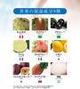 World Fruits Refreshing Foam Facial Pore Large Papain Lava Deep Pore Formulated with Beauty Ingredients Derived from Fruits of the Made in Official
