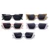 Chic Square Sunglasses, Large Frame Tinted Lens Shades, Glasses, Lens, Eyewear, for Vacation