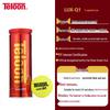 Teloon Performance Tennis Balls