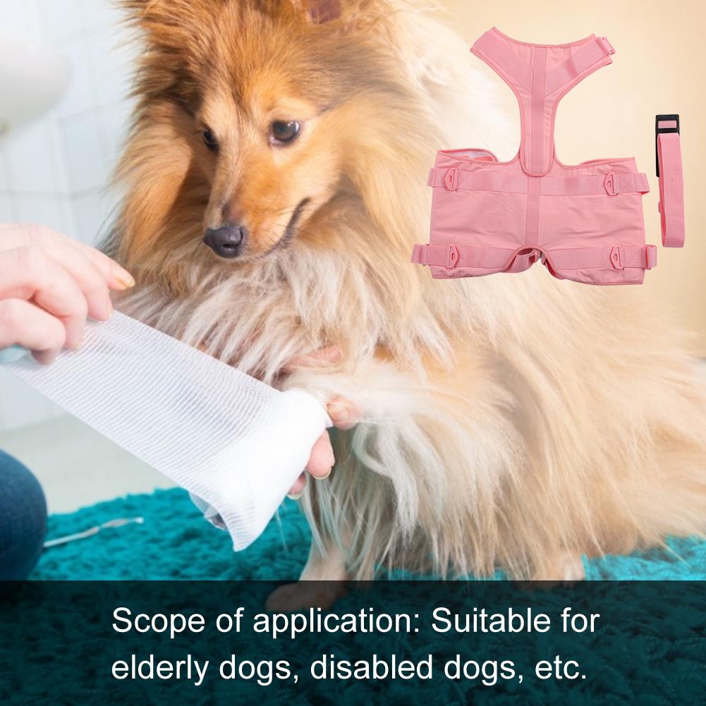 Dog Walking Aid Kit Auxiliary Collar Leash with Lifting Handle Pet Recovery Support for Old and