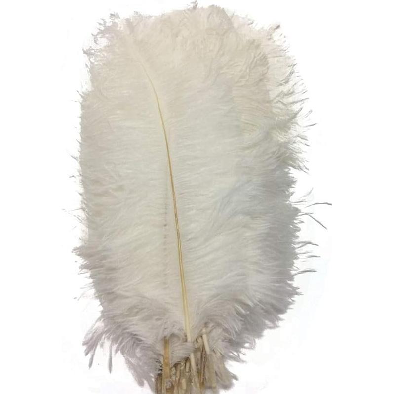 MELADY Набор из 50 шт. Натуральные страусиные перья 12-14 дюймов для домашнего декора, свадьбы, вечеринки (белый) белый