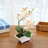 1set Fashion Decoration Artificial Plant Potted Creative Bonsai for Home Wedding Decoration DIY Supplies